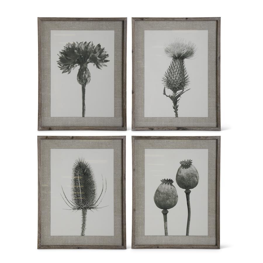 Assorted 27.5 Inch Wood Framed Black Gray and White