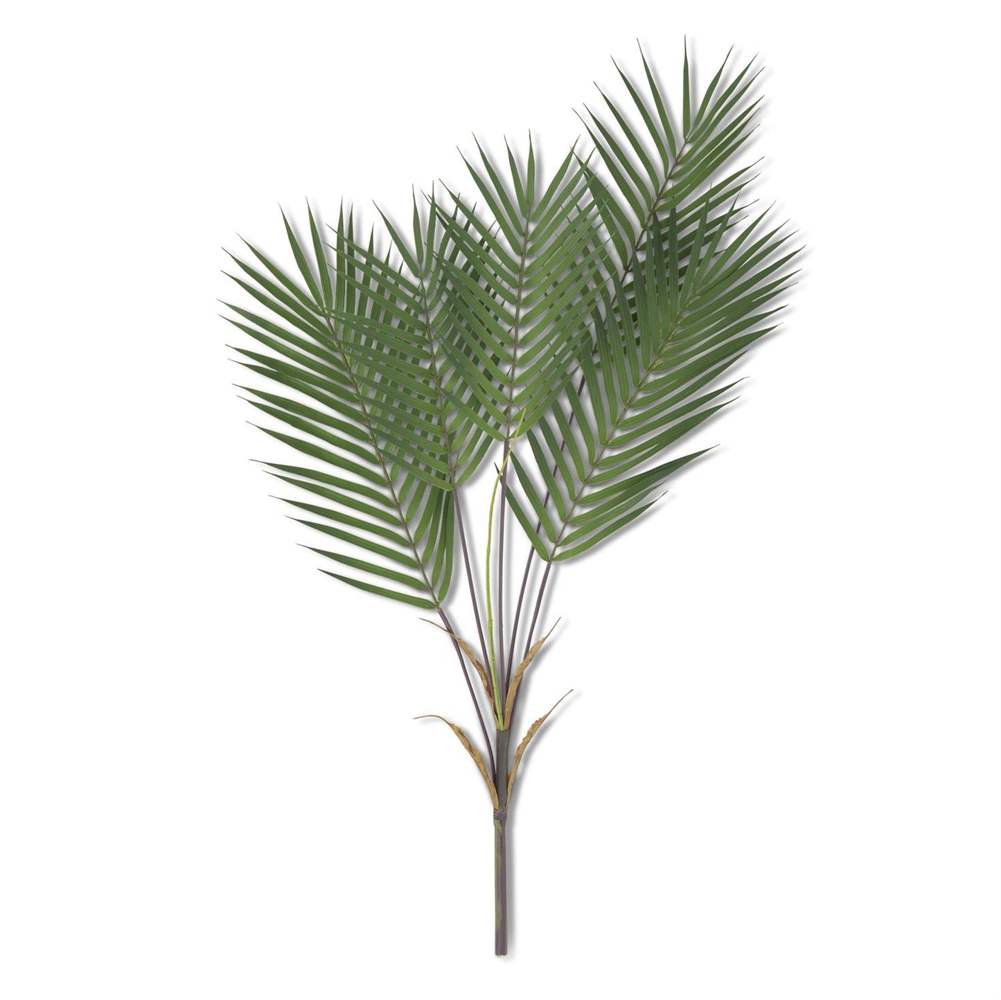 32 Inch 5 Stem Palm Branch