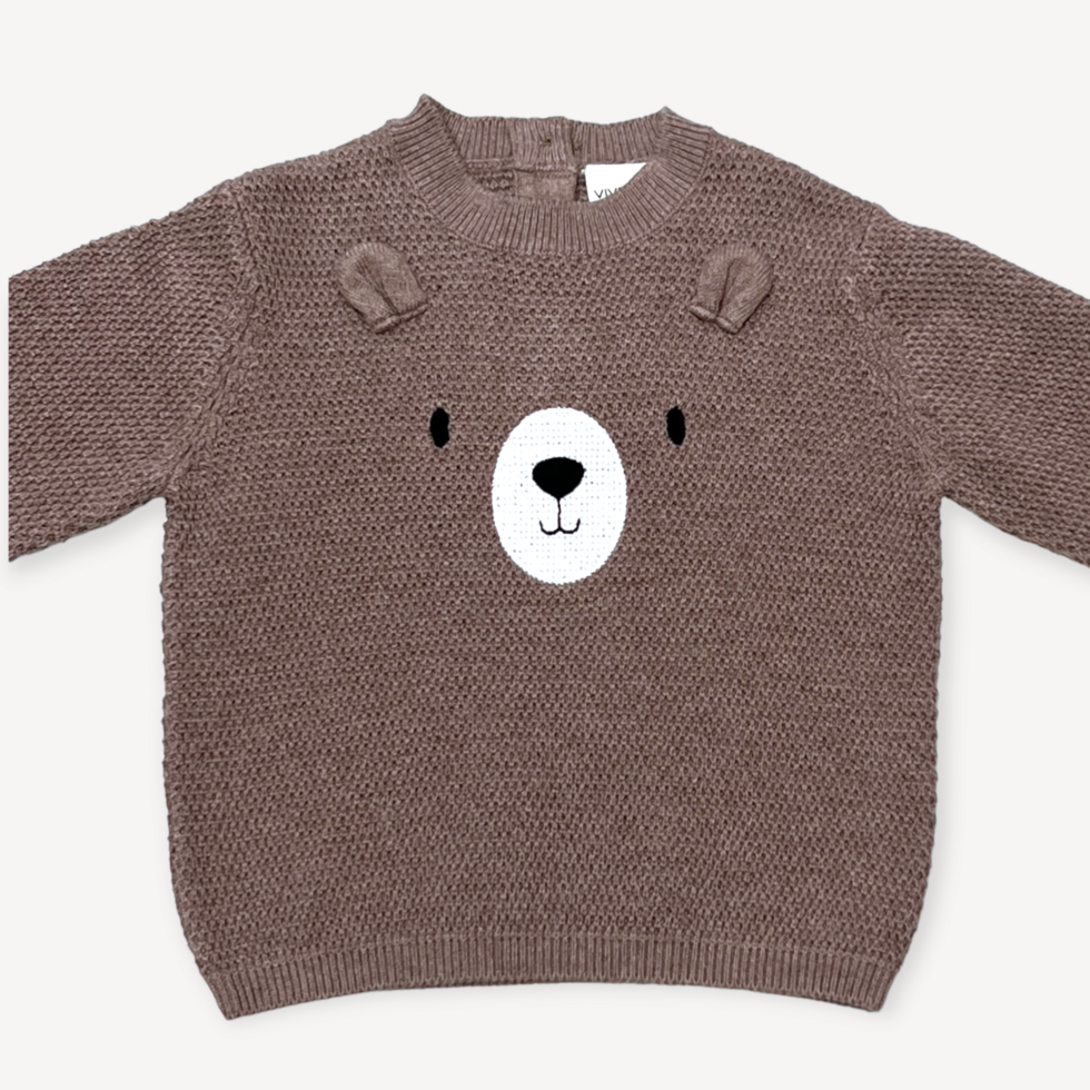 Bear Embroidered Knit Baby Pullover Sweater