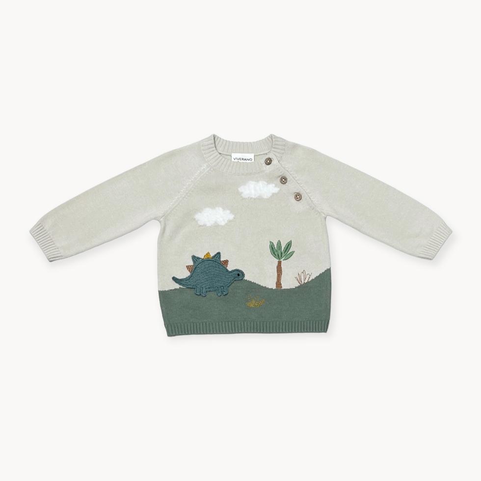 Dino Applique Button Baby Pullover Sweater
