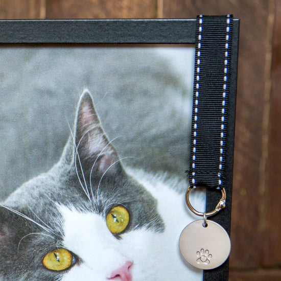 Pet Loss Memorial Frame: Pawprints Left By You Cat