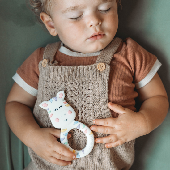 Pastel Zebra Teether