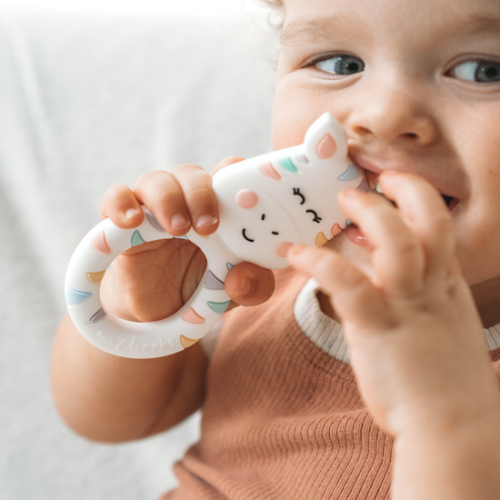 Pastel Zebra Teether