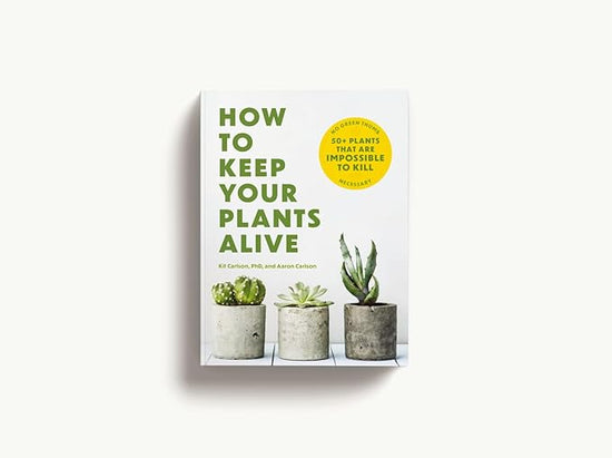 How to Keep Your Plants Alive: 50 Plants That Are Impossible to Kill