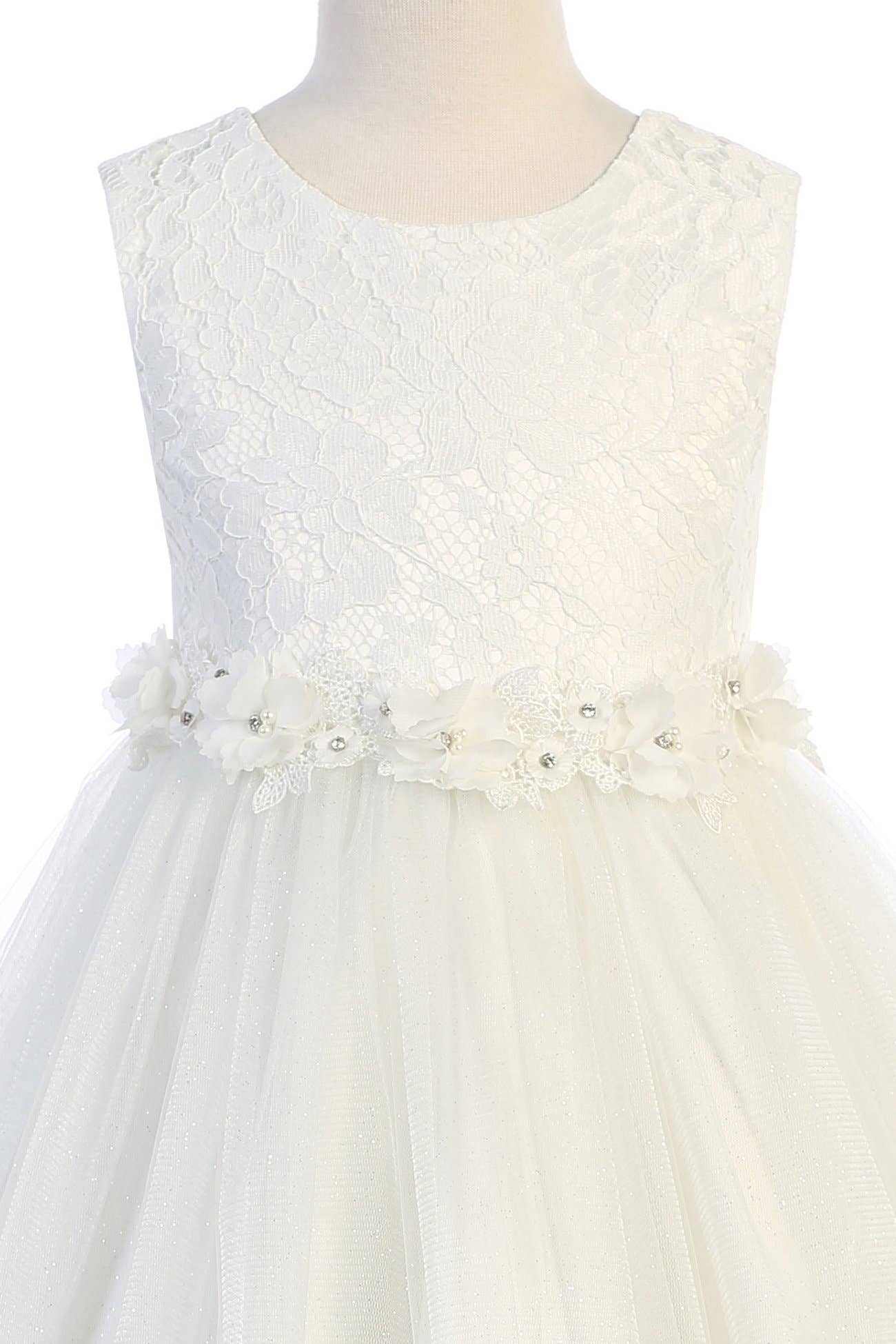 Lace Glitter Tulle Dress