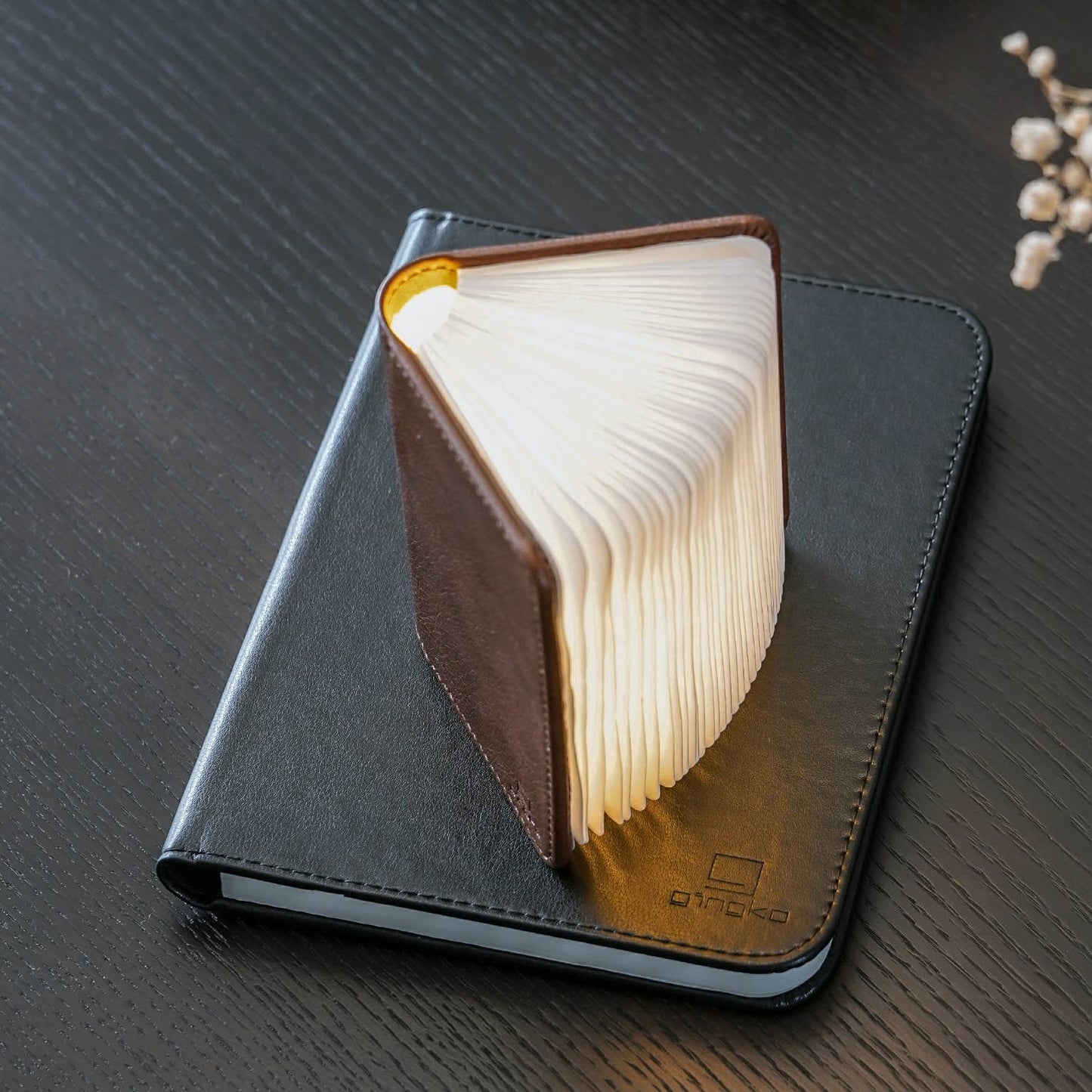 Bonded Leather Smart Book Light: Black Leather / Large