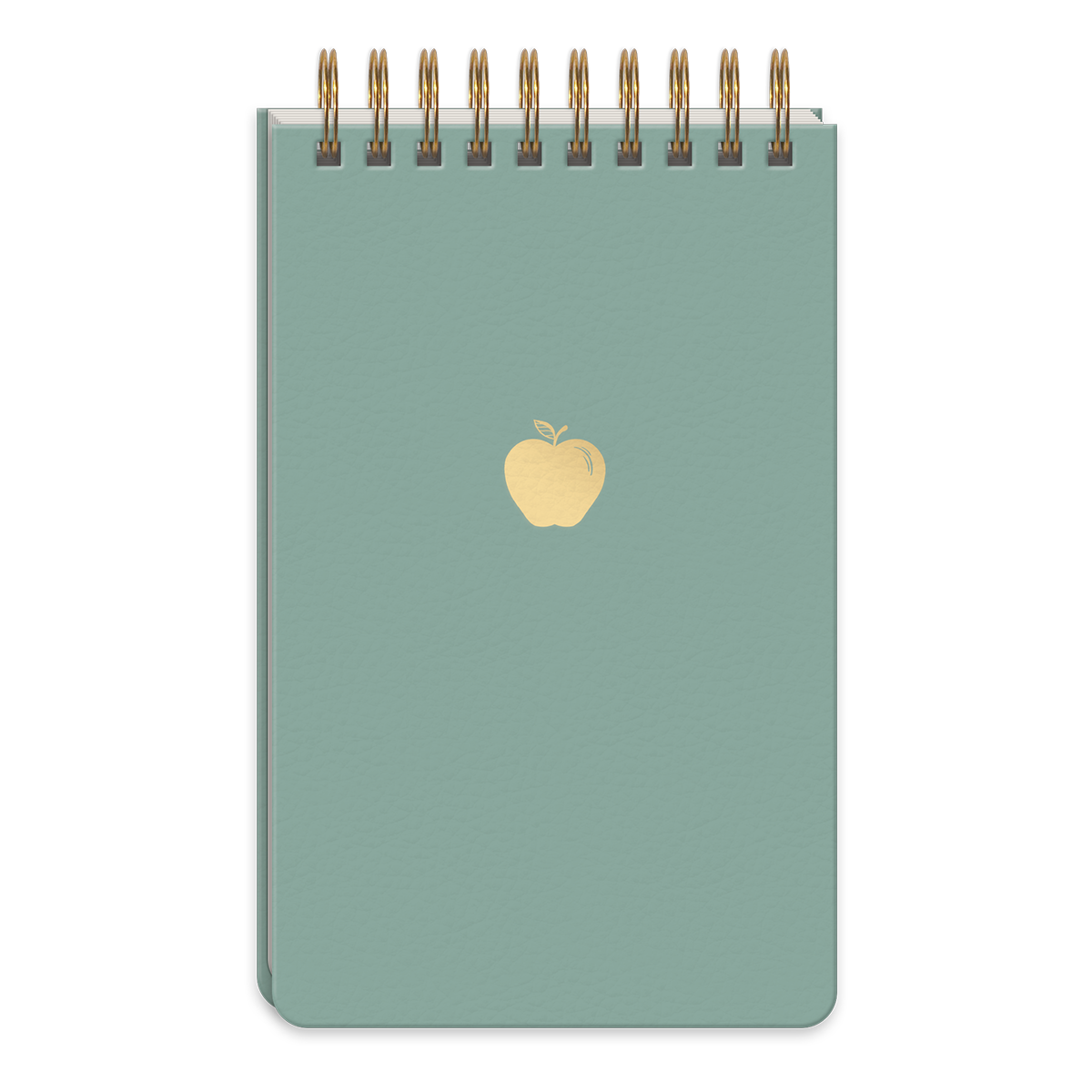 Teacher Icon Apple Notepad w/ Metal Pen