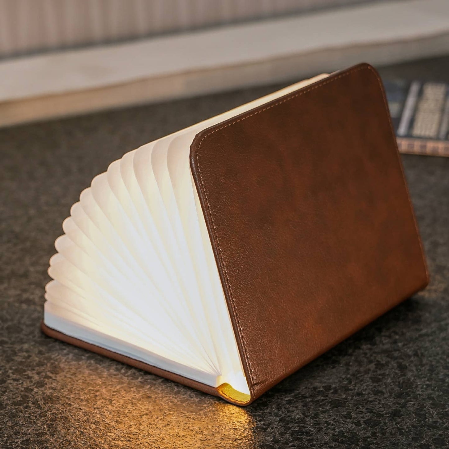 Bonded Leather Smart Book Light: Brown Leather / Mini