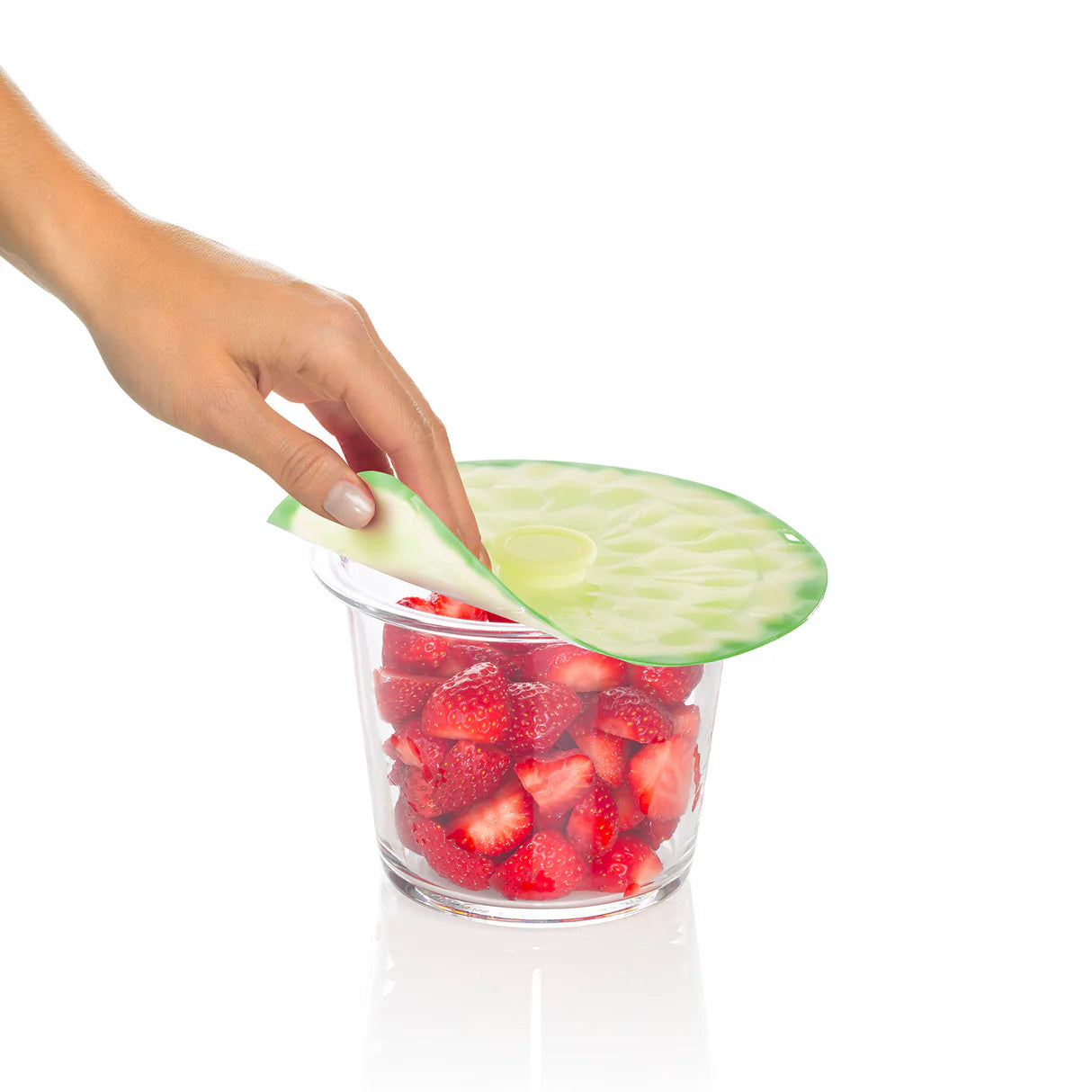 Lime Lid 6"