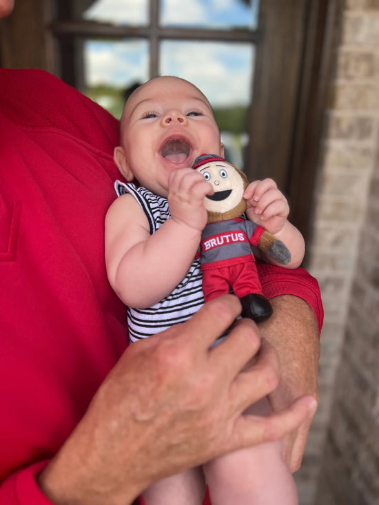 The Ohio State University Pacifier - Brutus