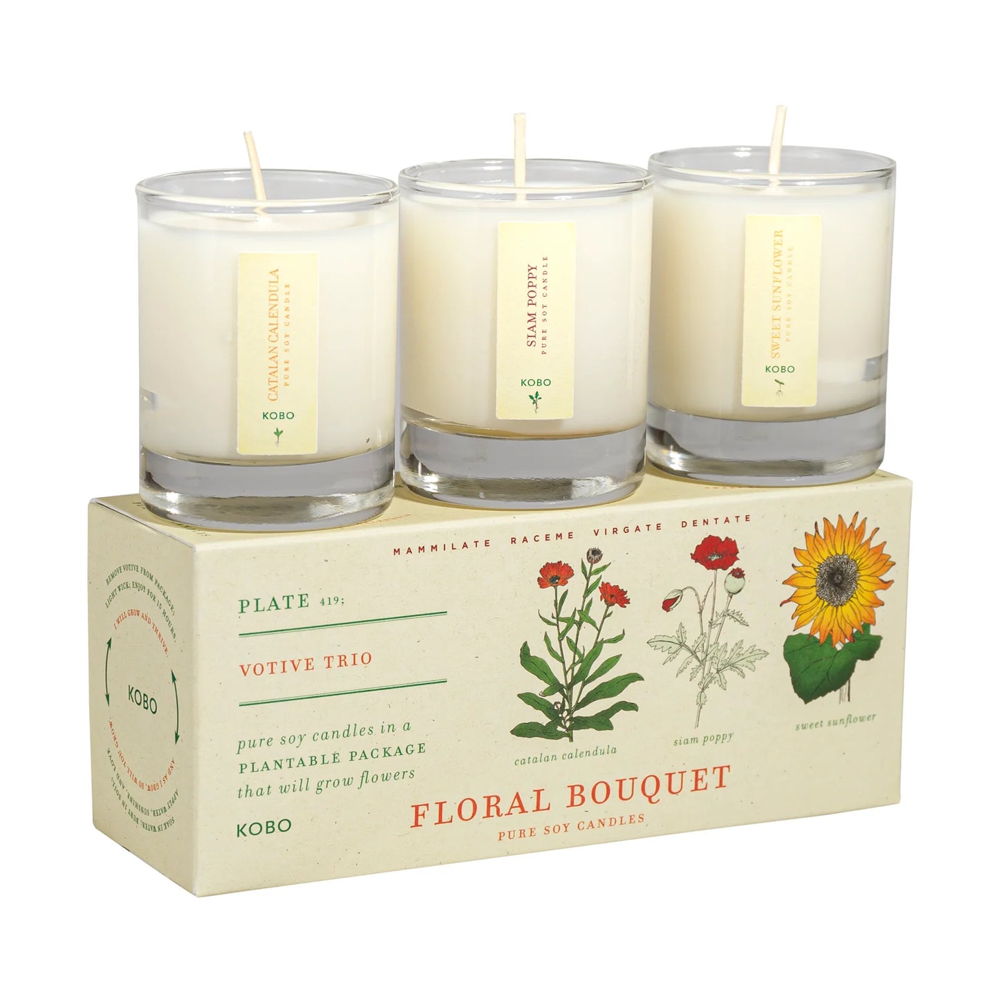 Floral Bouquet Trio 2.3oz Plant the Box Candles Catalan Calendula, Siam Poppy, Sweet Sunflower