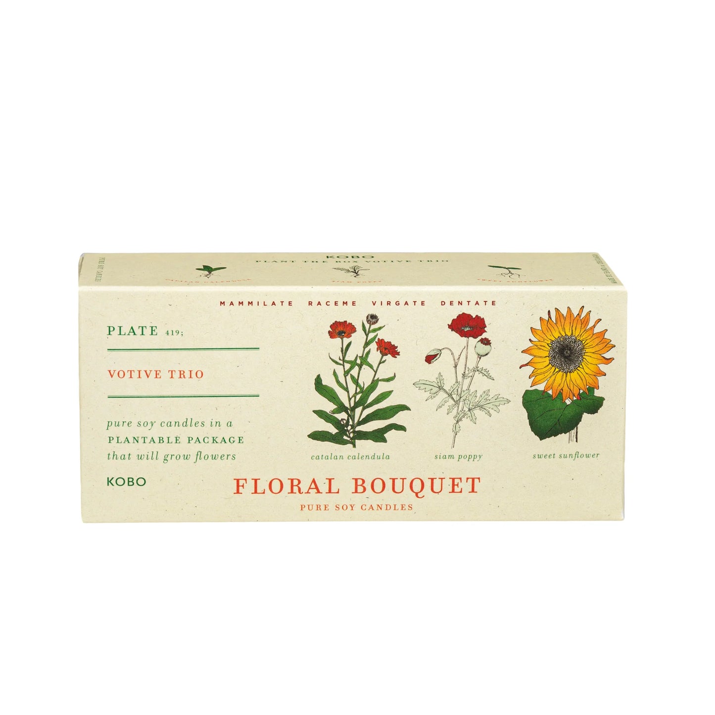 Floral Bouquet Trio 2.3oz Plant the Box Candles Catalan Calendula, Siam Poppy, Sweet Sunflower
