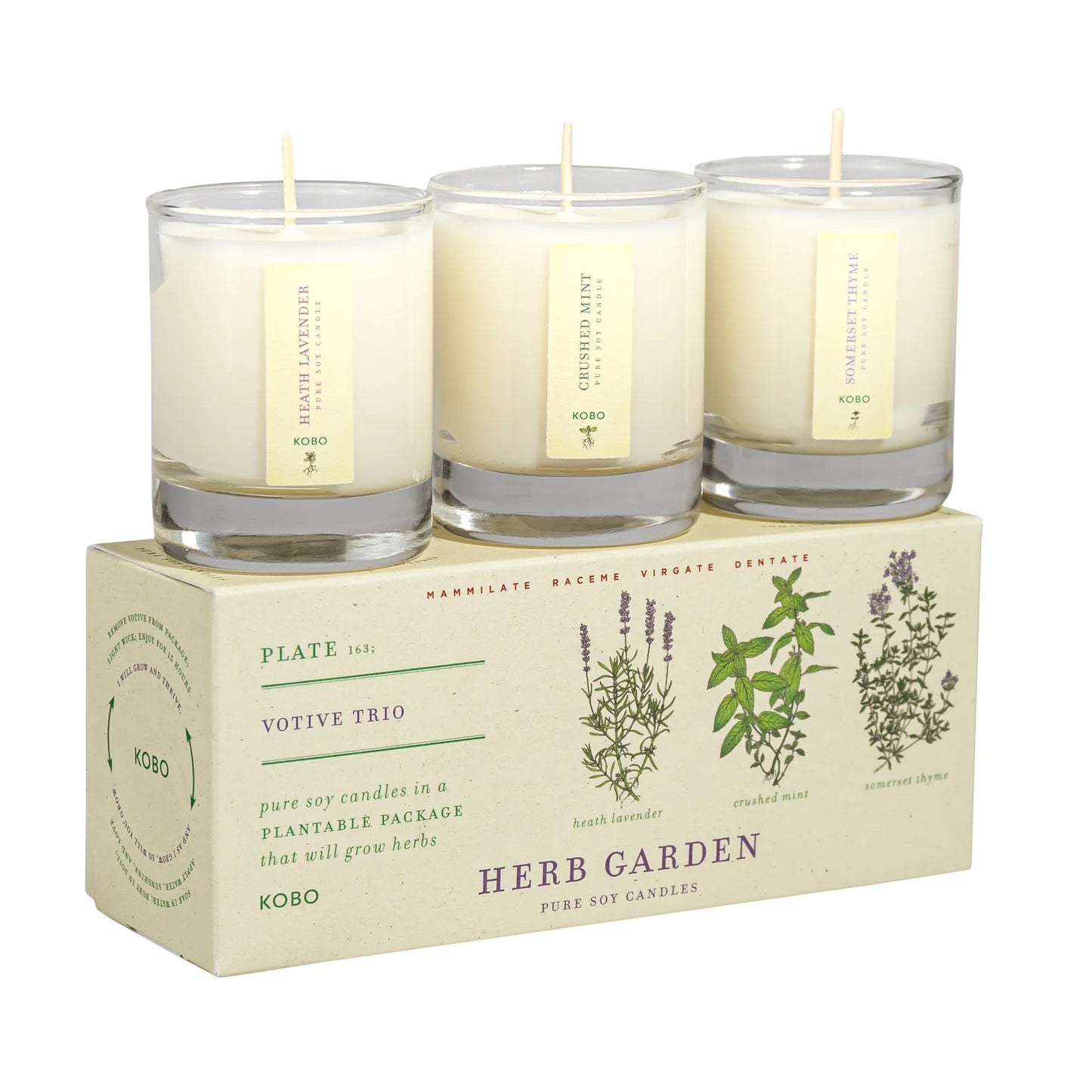 Herb Garden Trio 2.3oz Plant the Box Candles