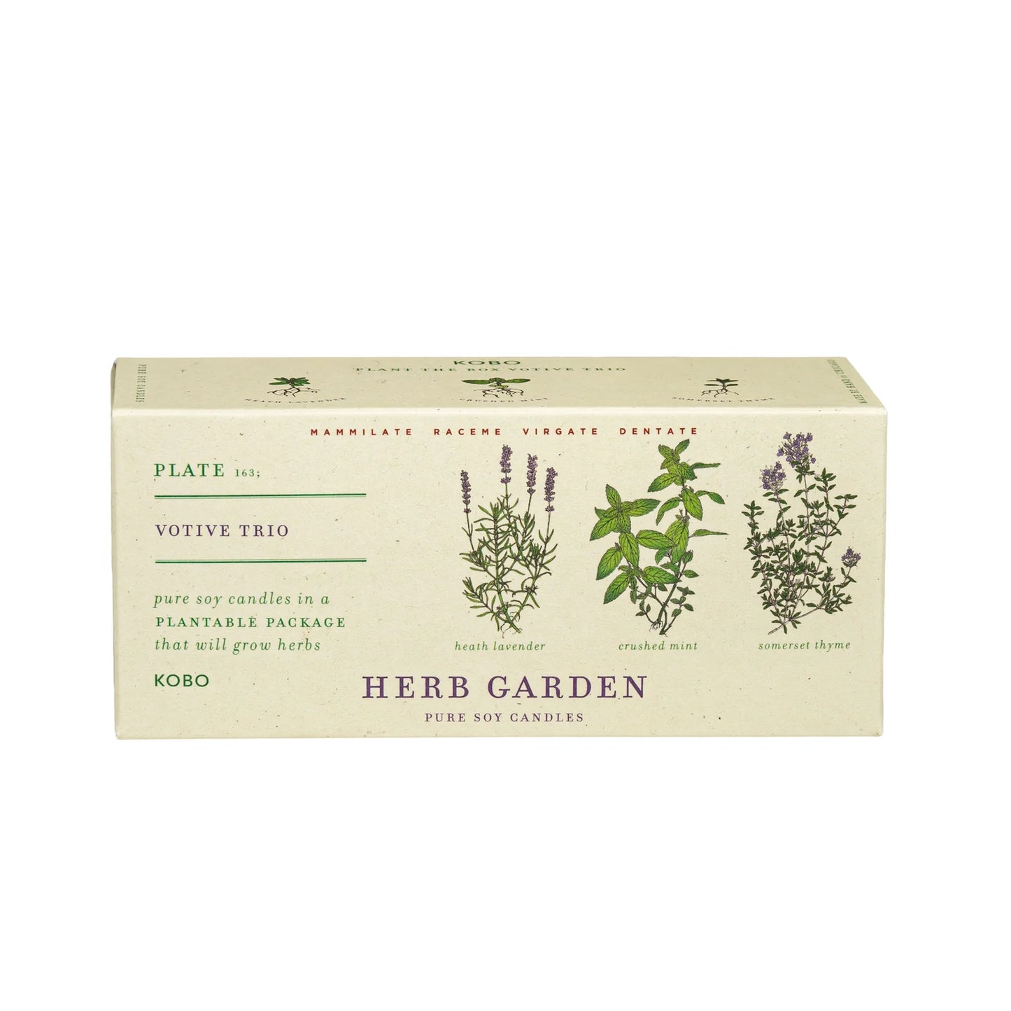 Herb Garden Trio 2.3oz Plant the Box Candles