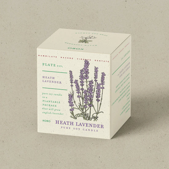 Heath Lavender Plant the Box Candle 9oz