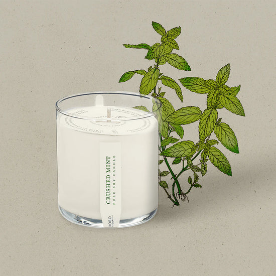 Crushed Mint Plant the Box Candle 9oz