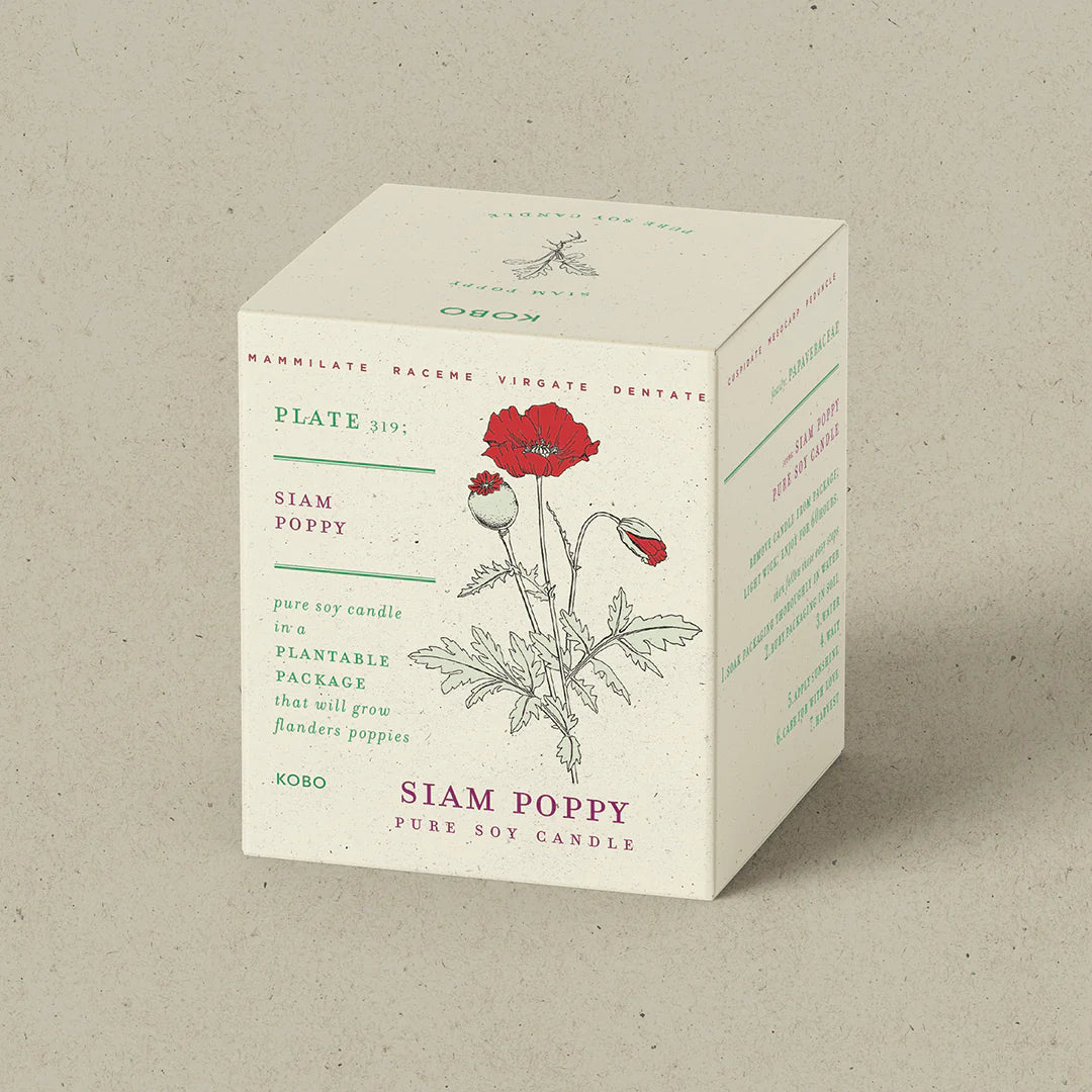 Siam Poppy Plant the Box Candle 9oz