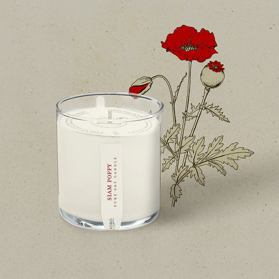 Siam Poppy Plant the Box Candle 9oz