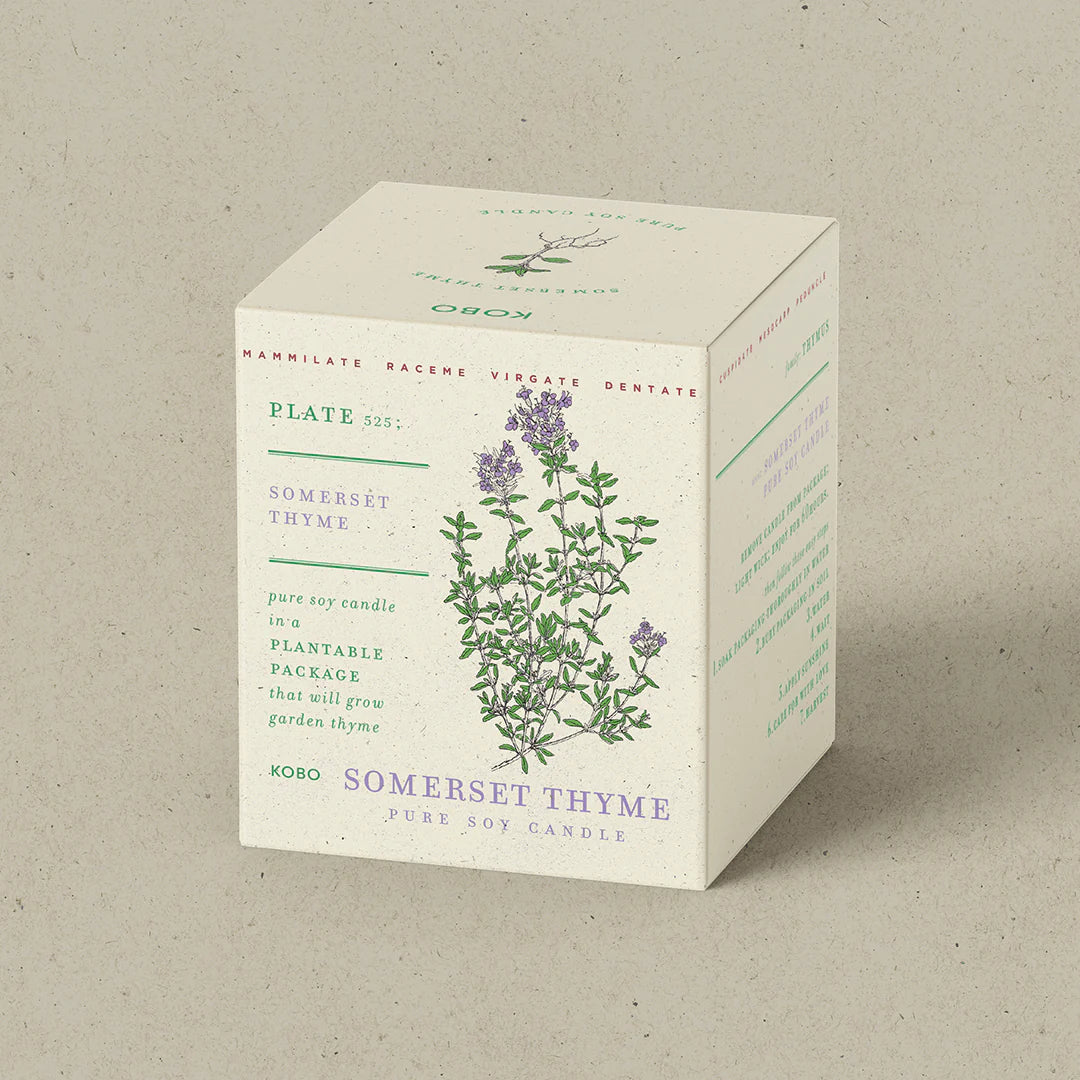 Thyme Plant the Box Candle 9oz