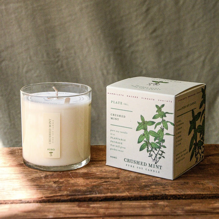 Crushed Mint Plant the Box Candle 9oz