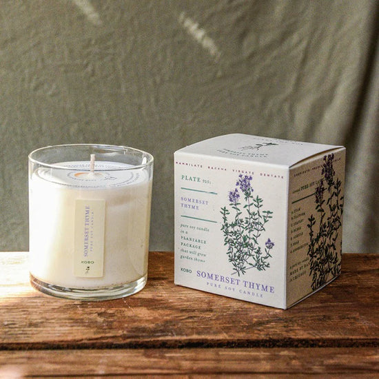 Thyme Plant the Box Candle 9oz