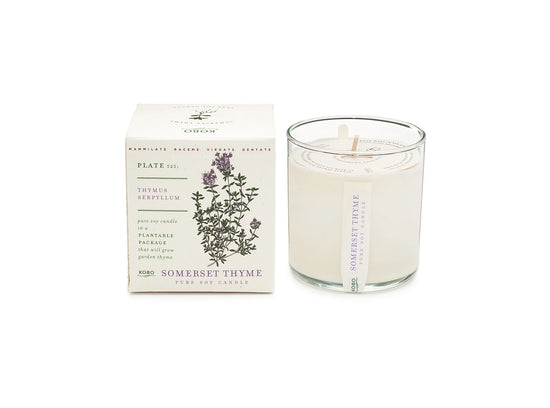 Thyme Plant the Box Candle 9oz