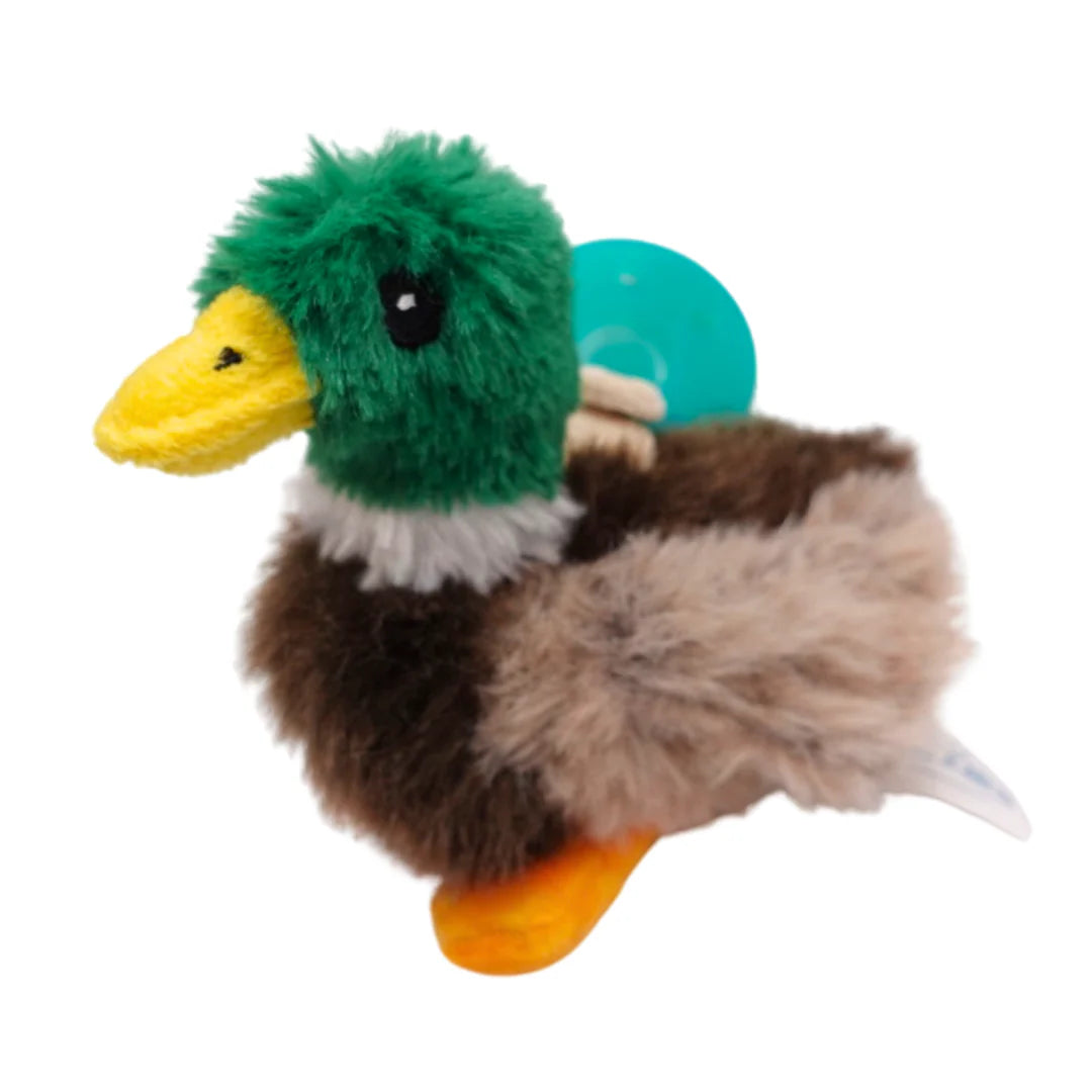 Mallard Duck Pacifier