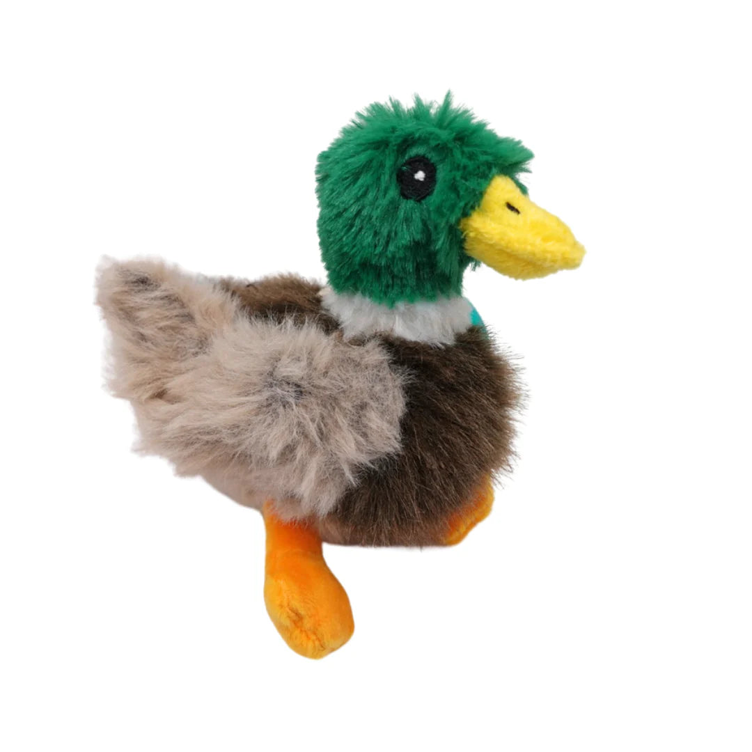 Mallard Duck Pacifier