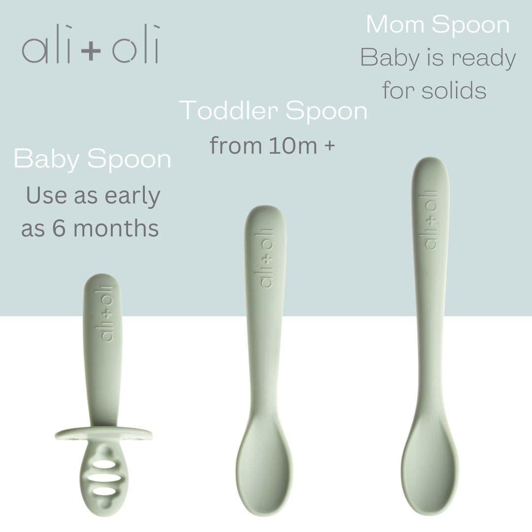 (3-pc) Multi Stage Spoon Set for Baby (Pine) 6m+