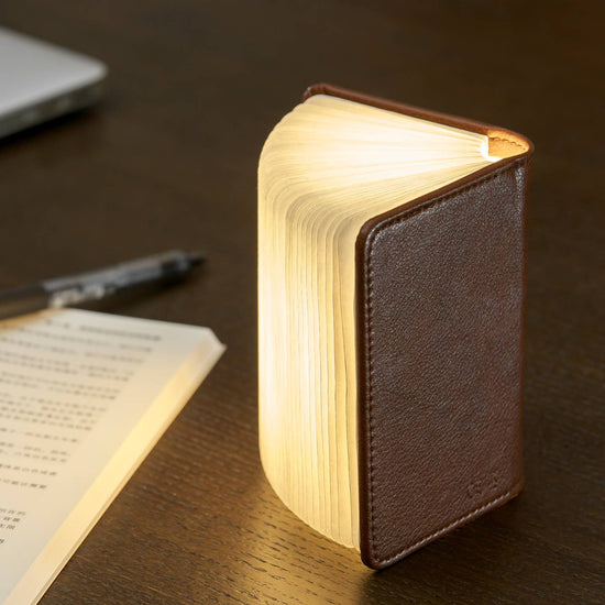 Bonded Leather Smart Book Light: Brown Leather / Mini