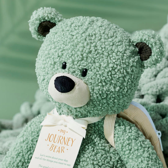 'My Journey' Bear