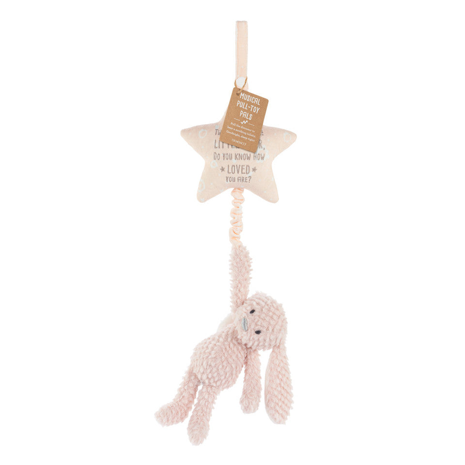 Bunny Musical Pull Toy