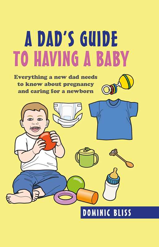 Dad's Guide to Having a Baby by Dominic Bliss: Hardcover; 128 pages / English