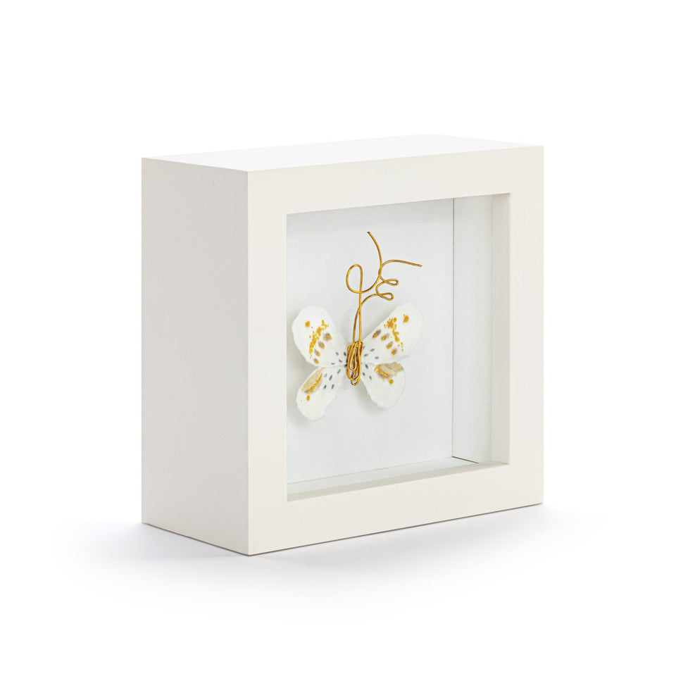 Butterfly Shadow Box Artworks 4"
