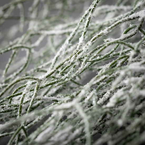 Frosted Grass Spray