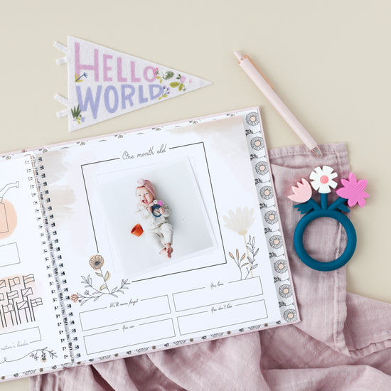 Blush Luxury Baby Book