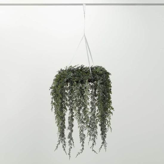 Lg. Draping Cypress Hanging Wreath
