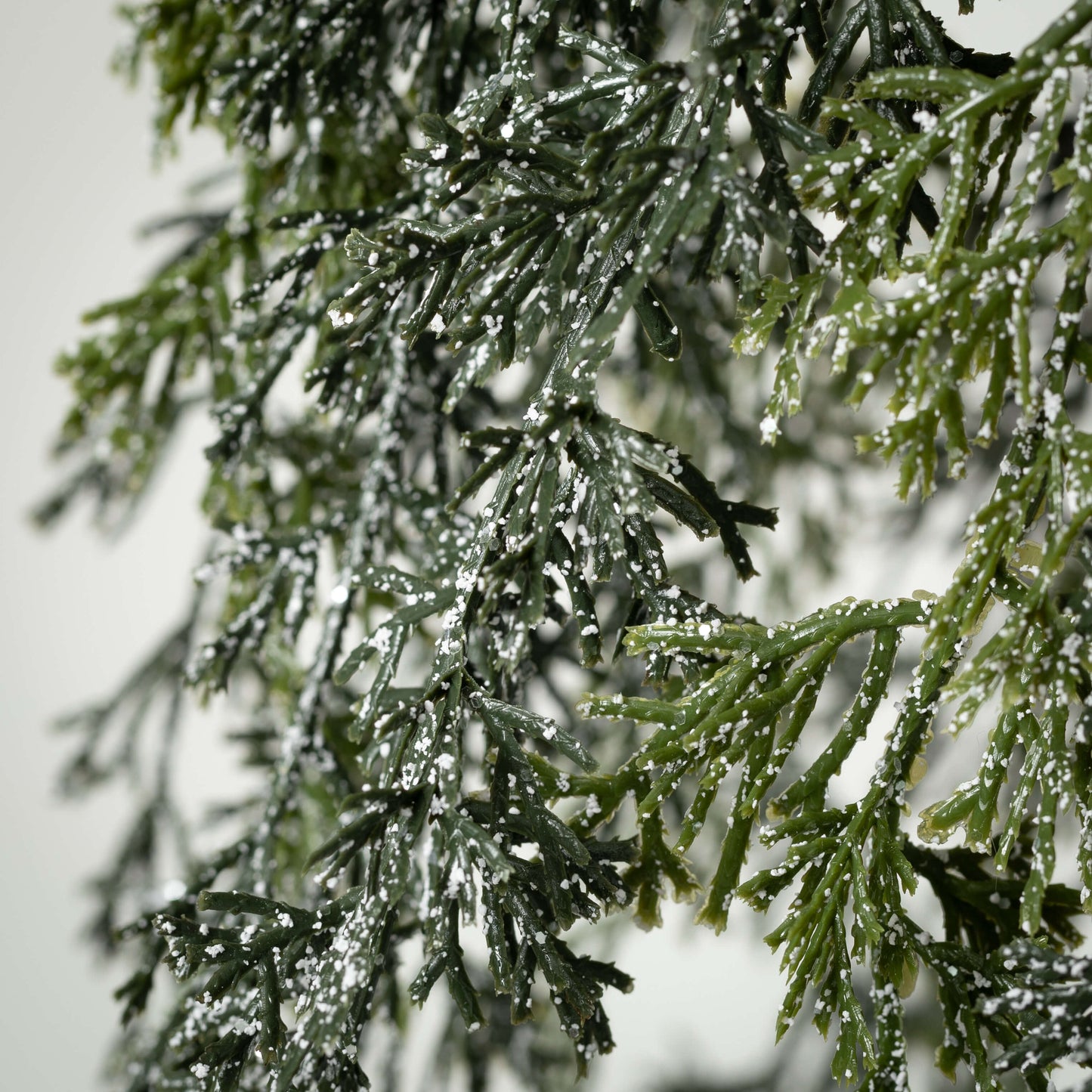 Small Draping Cypress Hanging Wreath
