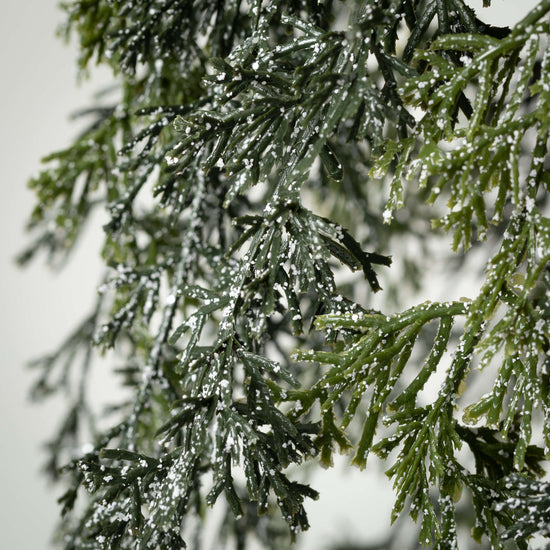 Small Draping Cypress Hanging Wreath