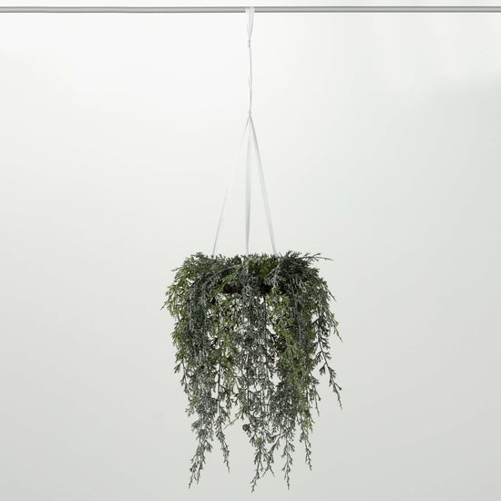 Small Draping Cypress Hanging Wreath