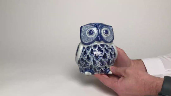 Load and play video in Gallery viewer, Blue &amp;amp; White Hand-Painted owl
