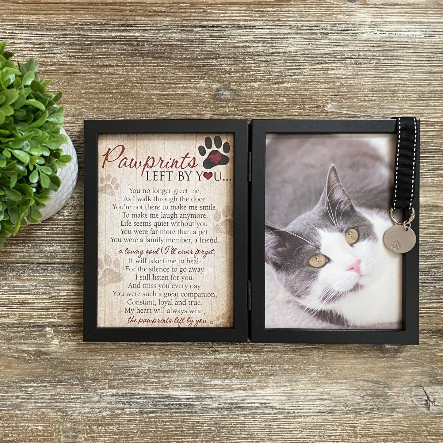 Pet Loss Memorial Frame: Pawprints Left By You Cat