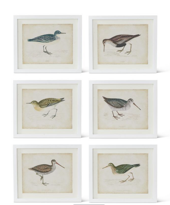 Coastal Bird Artworks with White Frames