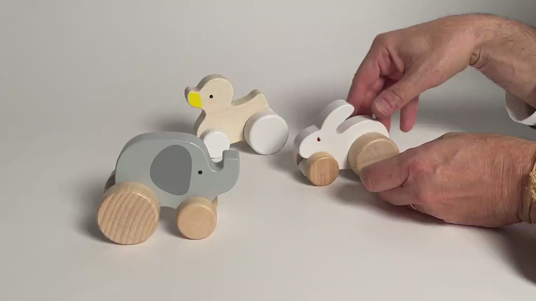Load and play video in Gallery viewer, Hand-Crafted Wooden Animal Toy
