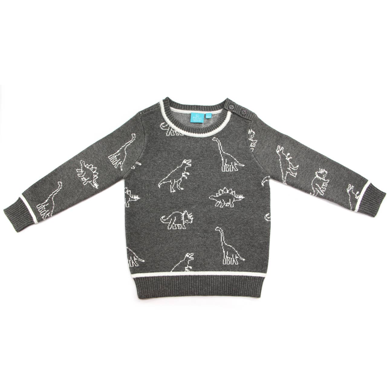 Leon Dinosaur Sweater for Toddler